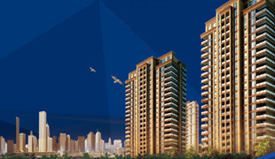 華夏房產(chǎn)多媒體系統(tǒng)